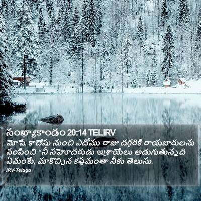 సంఖ్యాకాండం 20:14 TELIRV Bible Verse Image