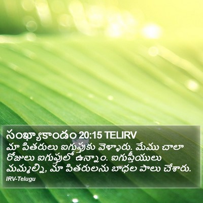 సంఖ్యాకాండం 20:15 TELIRV Bible Verse Image