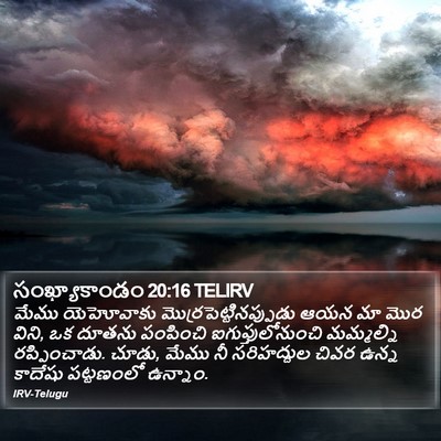 సంఖ్యాకాండం 20:16 TELIRV Bible Verse Image
