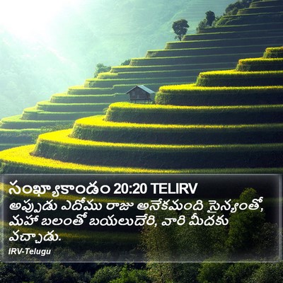 సంఖ్యాకాండం 20:20 TELIRV Bible Verse Image