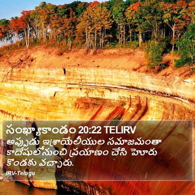 సంఖ్యాకాండం 20:22 TELIRV Bible Verse Image
