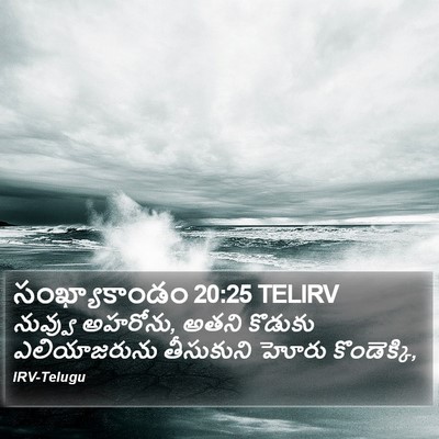 సంఖ్యాకాండం 20:25 TELIRV Bible Verse Image