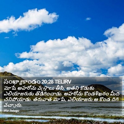 సంఖ్యాకాండం 20:28 TELIRV Bible Verse Image