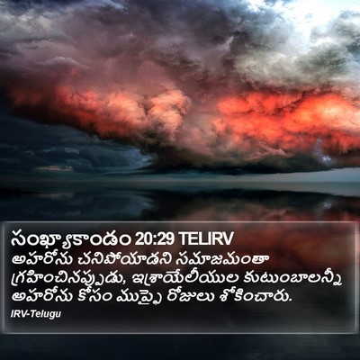 సంఖ్యాకాండం 20:29 TELIRV Bible Verse Image