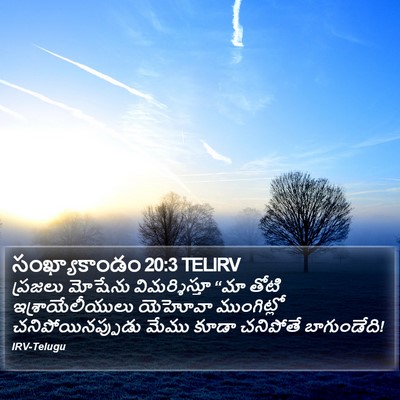 సంఖ్యాకాండం 20:3 TELIRV Bible Verse Image