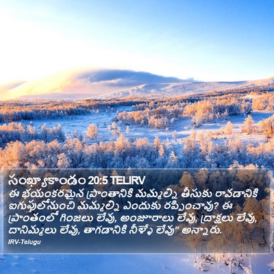 సంఖ్యాకాండం 20:5 TELIRV Bible Verse Image
