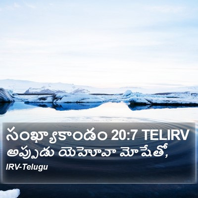 సంఖ్యాకాండం 20:7 TELIRV Bible Verse Image