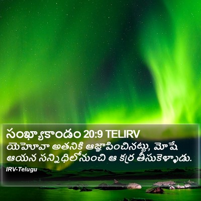 సంఖ్యాకాండం 20:9 TELIRV Bible Verse Image