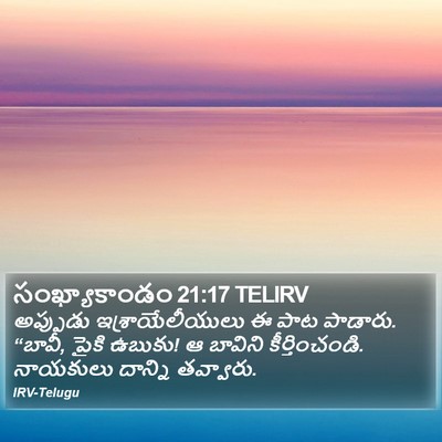 సంఖ్యాకాండం 21:17 TELIRV Bible Verse Image