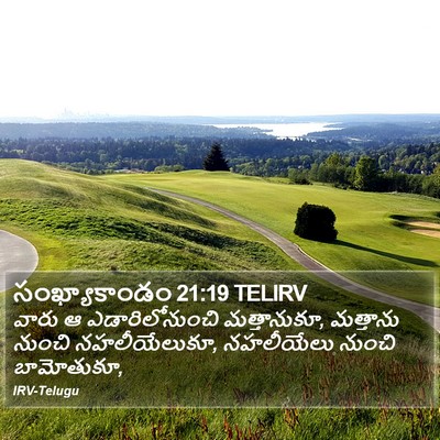 సంఖ్యాకాండం 21:19 TELIRV Bible Verse Image