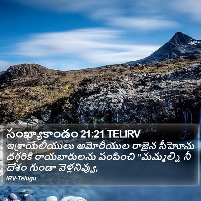 సంఖ్యాకాండం 21:21 TELIRV Bible Verse Image