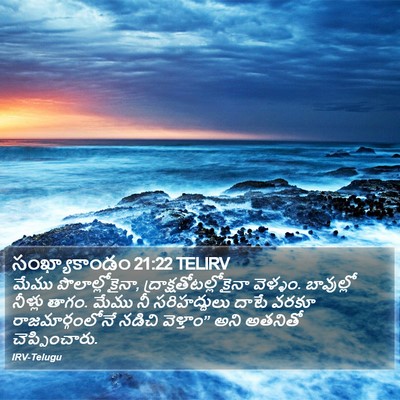 సంఖ్యాకాండం 21:22 TELIRV Bible Verse Image