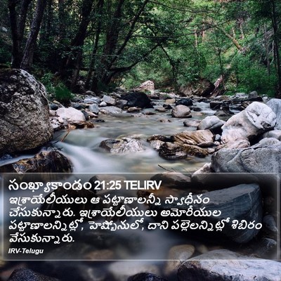సంఖ్యాకాండం 21:25 TELIRV Bible Verse Image
