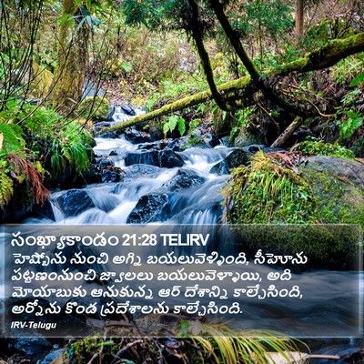సంఖ్యాకాండం 21:28 TELIRV Bible Verse Image
