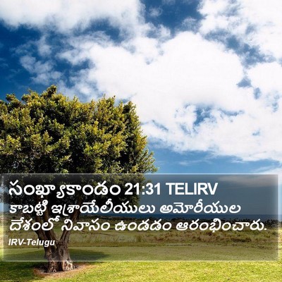 సంఖ్యాకాండం 21:31 TELIRV Bible Verse Image