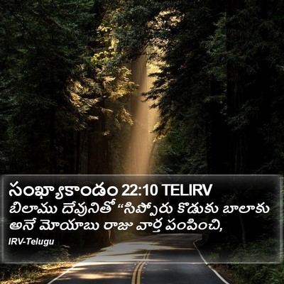సంఖ్యాకాండం 22:10 TELIRV Bible Verse Image