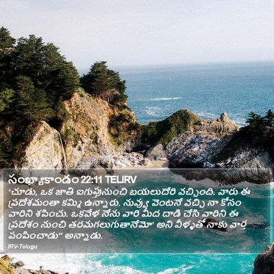 సంఖ్యాకాండం 22:11 TELIRV Bible Verse Image