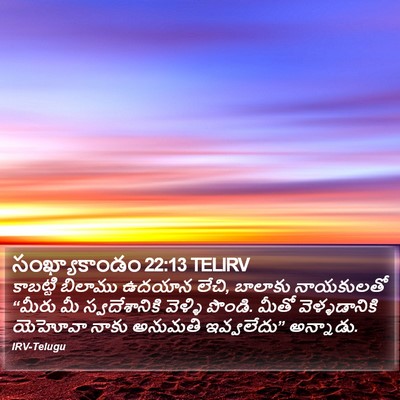 సంఖ్యాకాండం 22:13 TELIRV Bible Verse Image