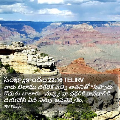 సంఖ్యాకాండం 22:16 TELIRV Bible Verse Image