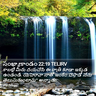 సంఖ్యాకాండం 22:19 TELIRV Bible Verse Image
