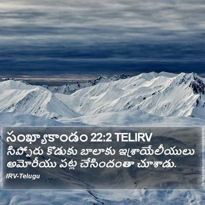 సంఖ్యాకాండం 22:2 TELIRV Bible Verse Image