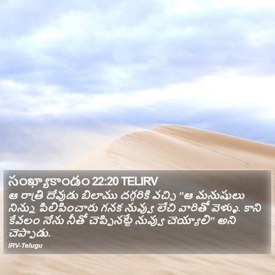 సంఖ్యాకాండం 22:20 TELIRV Bible Verse Image