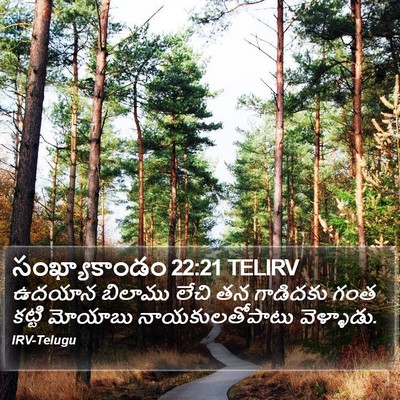 సంఖ్యాకాండం 22:21 TELIRV Bible Verse Image