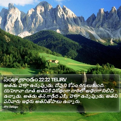 సంఖ్యాకాండం 22:22 TELIRV Bible Verse Image