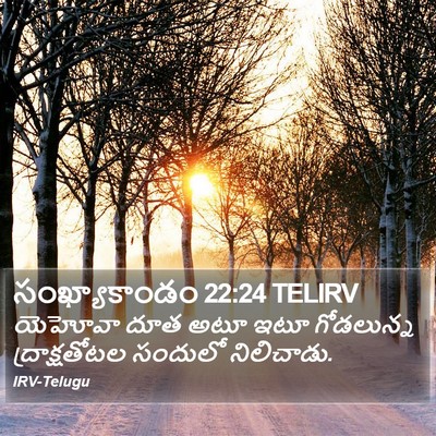 సంఖ్యాకాండం 22:24 TELIRV Bible Verse Image