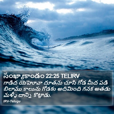 సంఖ్యాకాండం 22:25 TELIRV Bible Verse Image