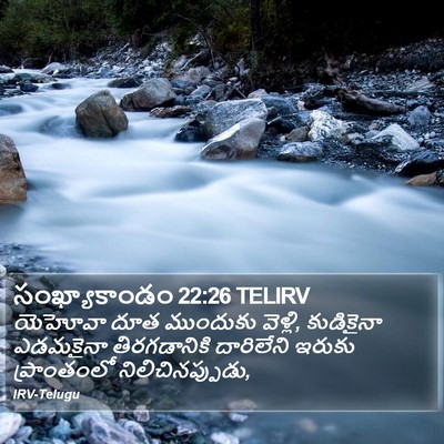సంఖ్యాకాండం 22:26 TELIRV Bible Verse Image