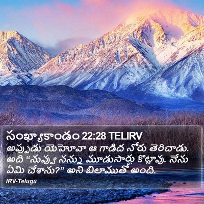 సంఖ్యాకాండం 22:28 TELIRV Bible Verse Image