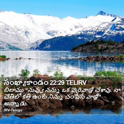 సంఖ్యాకాండం 22:29 TELIRV Bible Verse Image