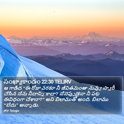 సంఖ్యాకాండం 22:30 TELIRV Bible Verse Image