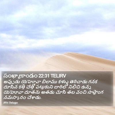 సంఖ్యాకాండం 22:31 TELIRV Bible Verse Image