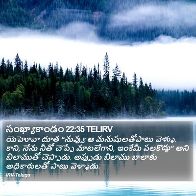 సంఖ్యాకాండం 22:35 TELIRV Bible Verse Image