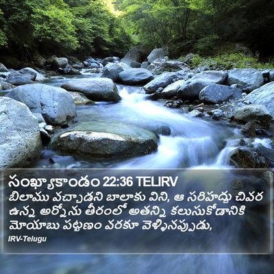 సంఖ్యాకాండం 22:36 TELIRV Bible Verse Image