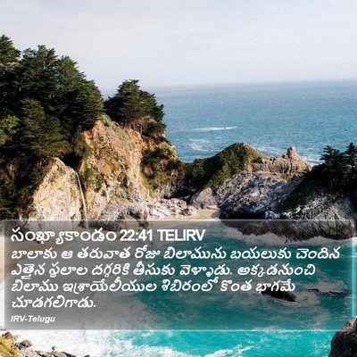 సంఖ్యాకాండం 22:41 TELIRV Bible Verse Image
