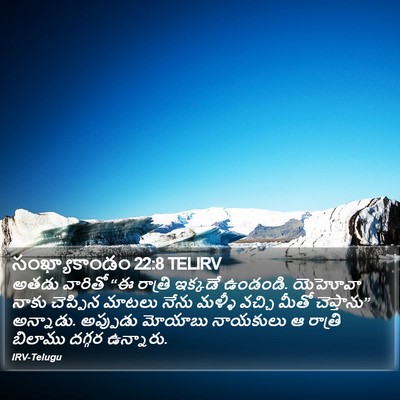 సంఖ్యాకాండం 22:8 TELIRV Bible Verse Image