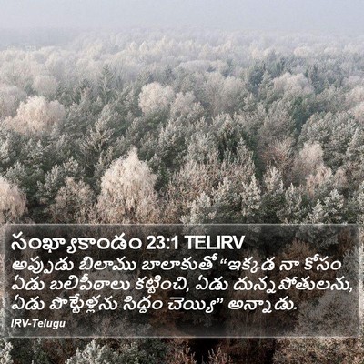సంఖ్యాకాండం 23:1 TELIRV Bible Verse Image