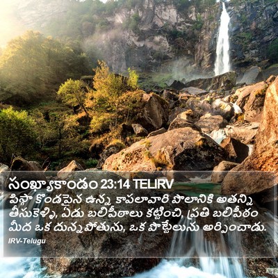 సంఖ్యాకాండం 23:14 TELIRV Bible Verse Image