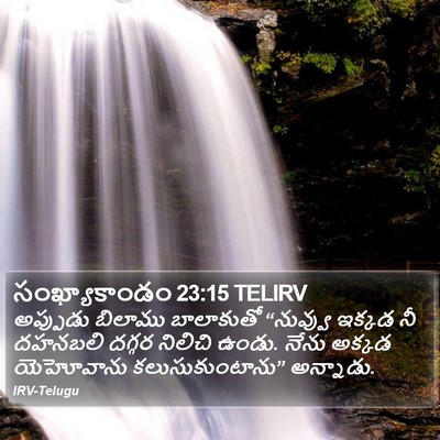 సంఖ్యాకాండం 23:15 TELIRV Bible Verse Image