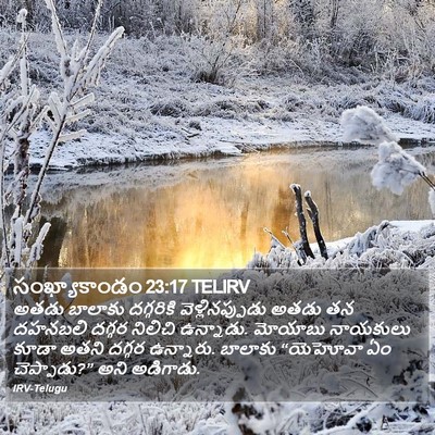 సంఖ్యాకాండం 23:17 TELIRV Bible Verse Image