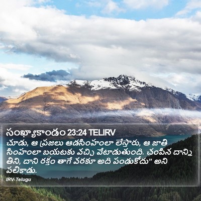 సంఖ్యాకాండం 23:24 TELIRV Bible Verse Image