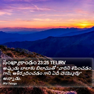 సంఖ్యాకాండం 23:25 TELIRV Bible Verse Image