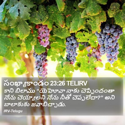 సంఖ్యాకాండం 23:26 TELIRV Bible Verse Image