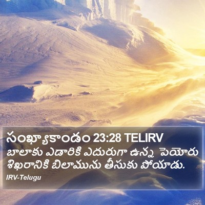 సంఖ్యాకాండం 23:28 TELIRV Bible Verse Image