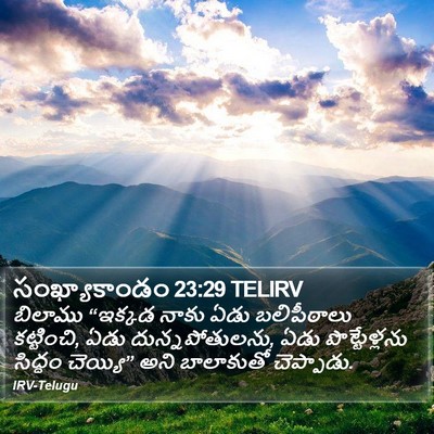 సంఖ్యాకాండం 23:29 TELIRV Bible Verse Image