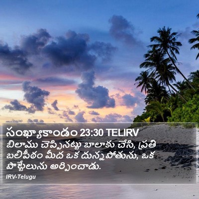 సంఖ్యాకాండం 23:30 TELIRV Bible Verse Image