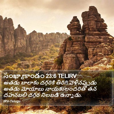 సంఖ్యాకాండం 23:6 TELIRV Bible Verse Image
